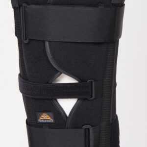 proion3